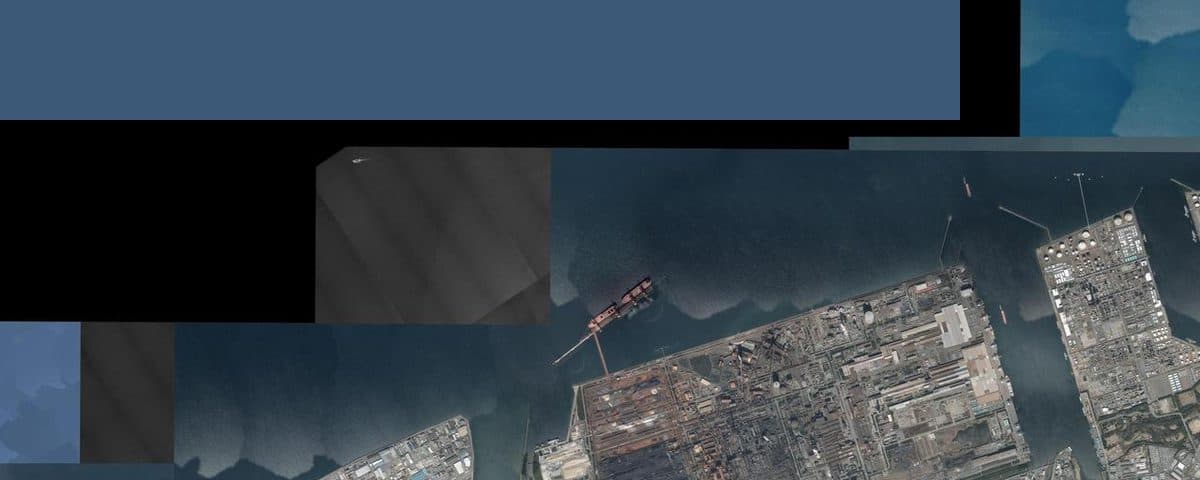 【釣果週報】別府湾・大分エリア 2026年3月第1週｜アオリイカ・メバルまずまず、春の兆し