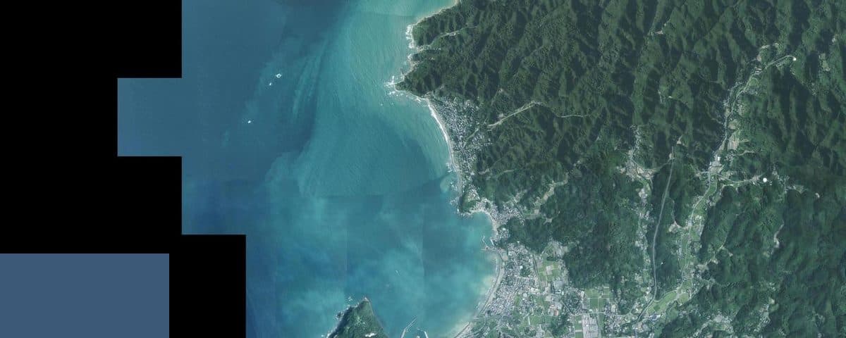 【釣果週報】房総半島エリア 2026年3月第1週｜クロダイ・メバルまずまず、春の磯釣りシーズンへ