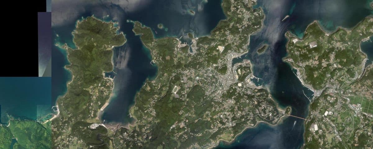 【釣果週報】長崎・平戸エリア 2026年3月第1週｜アオリイカまずまず、磯グレは良型安定