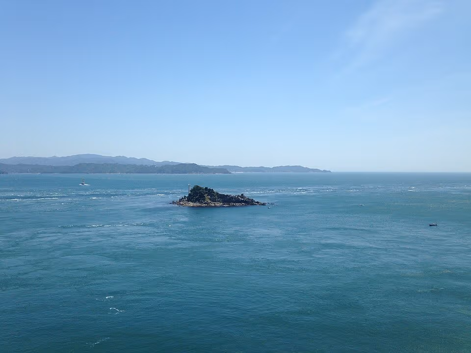 【釣果週報】駿河湾・伊豆エリア 2026年5月第2週｜熱海でシマアジ30cm、沼津・湾内アオリイカが続伸