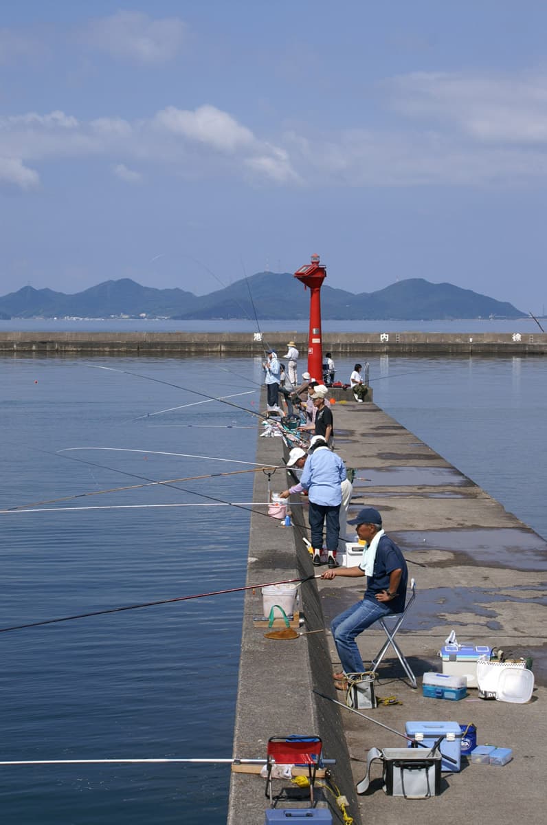 小浜新港の釣り場