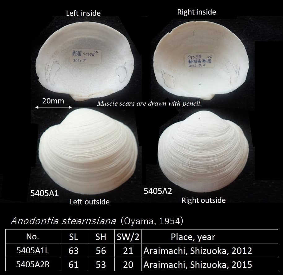 舞阪港の釣り場
