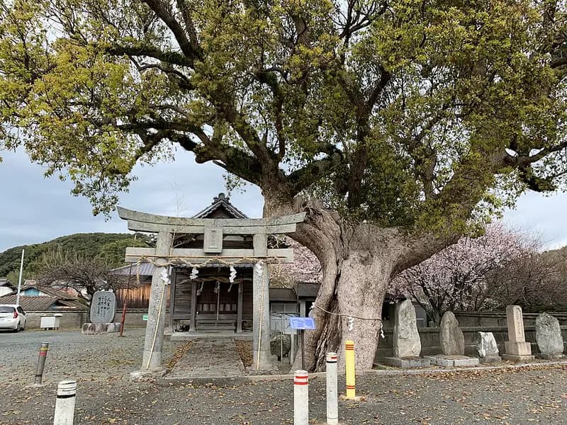相島漁港堤防の釣り場