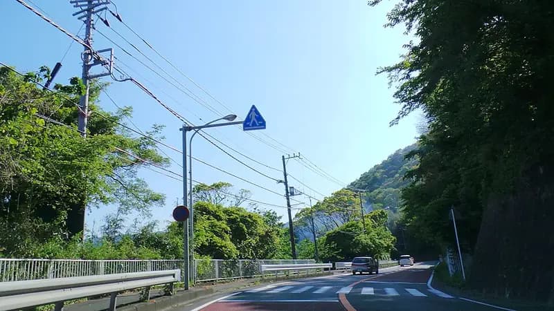 網代港の釣り場