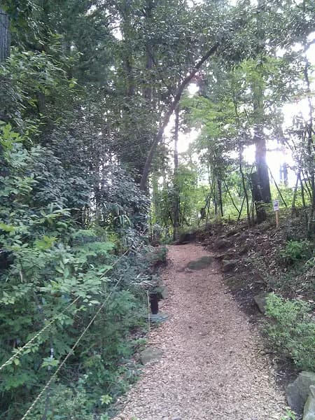 秋川(戸倉・十里木)の釣り場