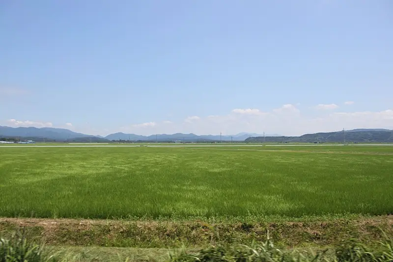 秋田本荘港の釣り場