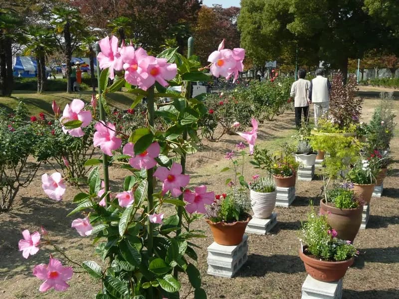 赤穂港の釣り場