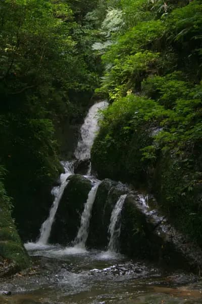 雨晴海岸の釣り場