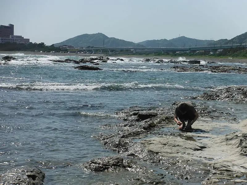 天津港(天津漁港)の釣り場
