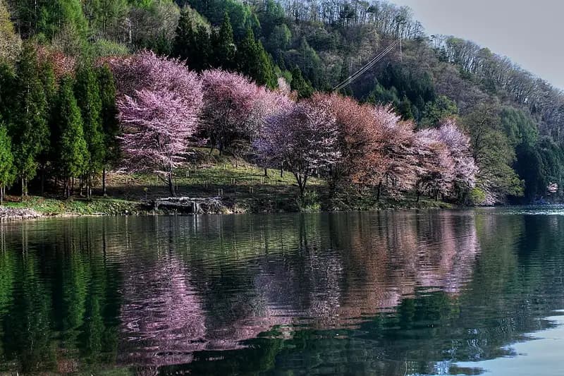 青木湖の釣り場