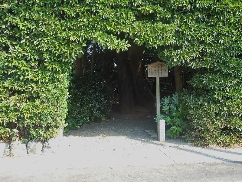 有滝堤防の釣り場