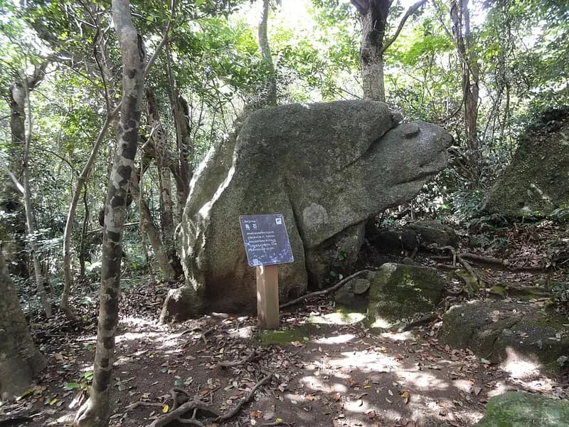 足摺岬磯の釣り場