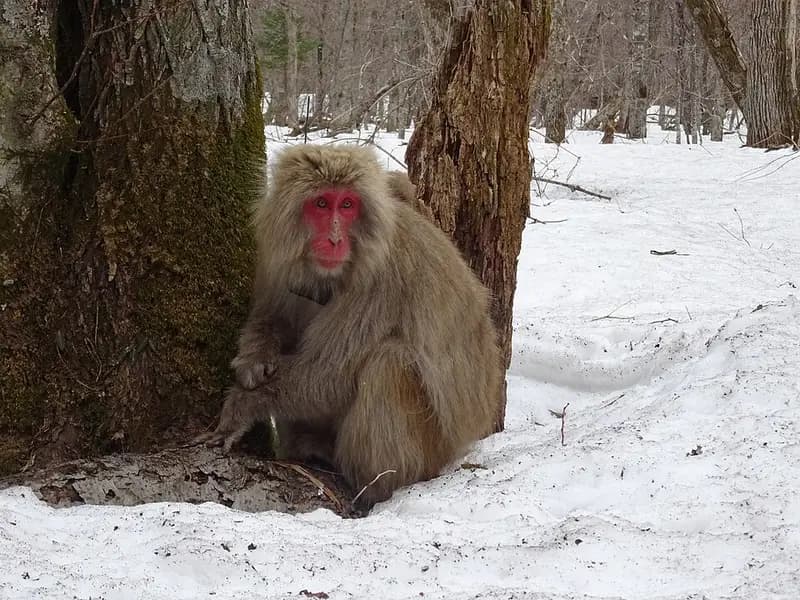 梓川(上高地周辺)の釣り場