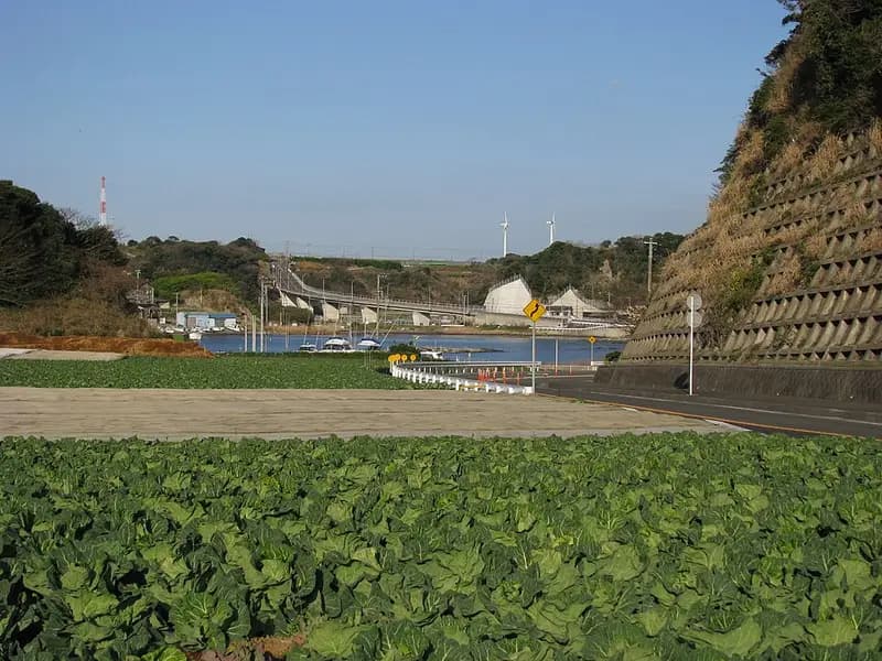 毘沙門海岸の釣り場