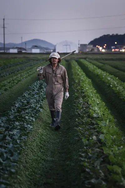 琵琶湖東岸(長命寺〜彦根)の釣り場
