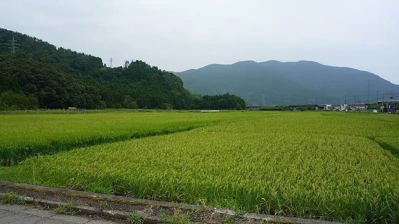 琵琶湖・マキノ知内浜の釣り場