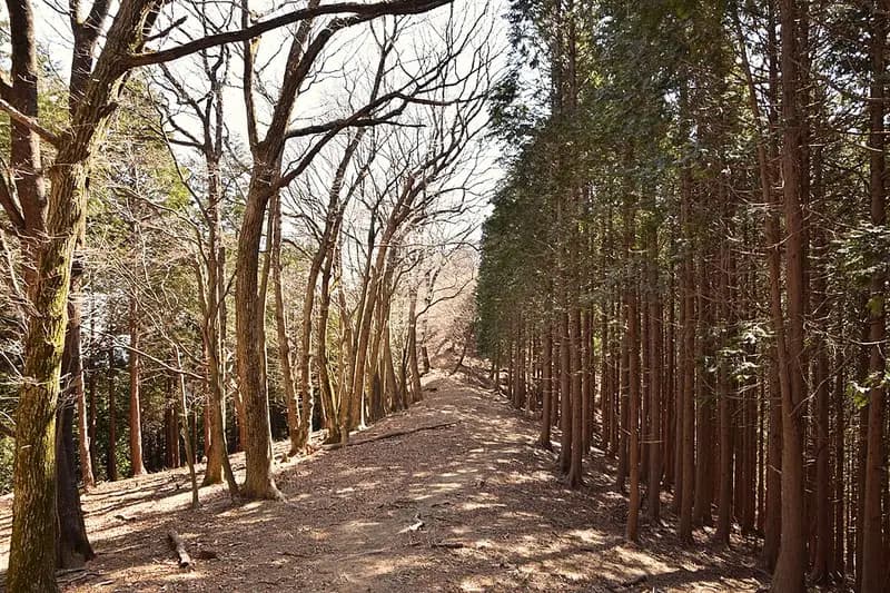 秩父さくら湖(浦山ダム)の釣り場
