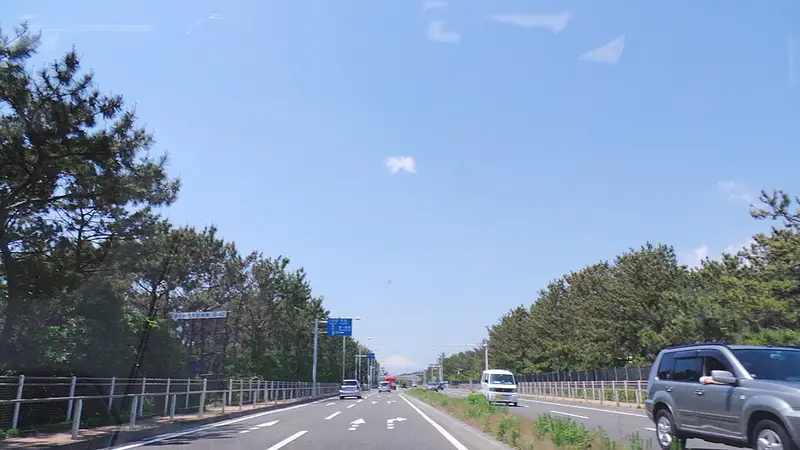 茅ヶ崎漁港の釣り場