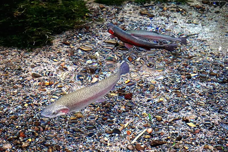 大山町御来屋漁港の釣り場
