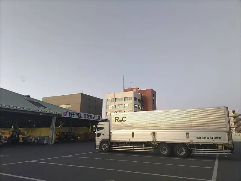 江戸川放水路の釣り場