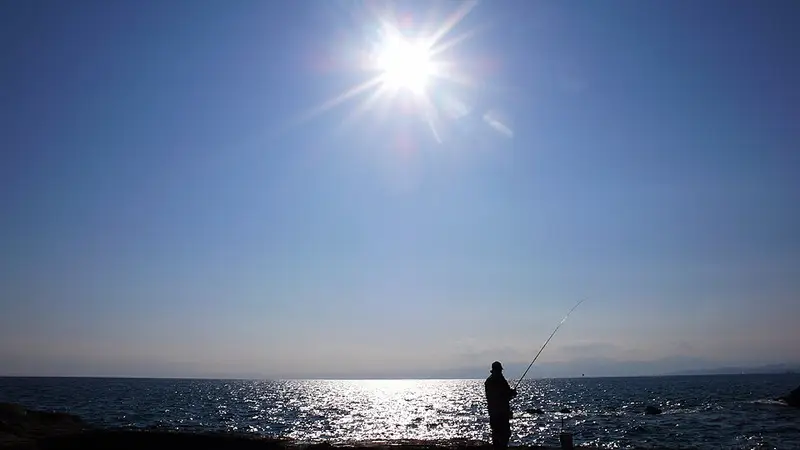江の島・表磯の釣り場