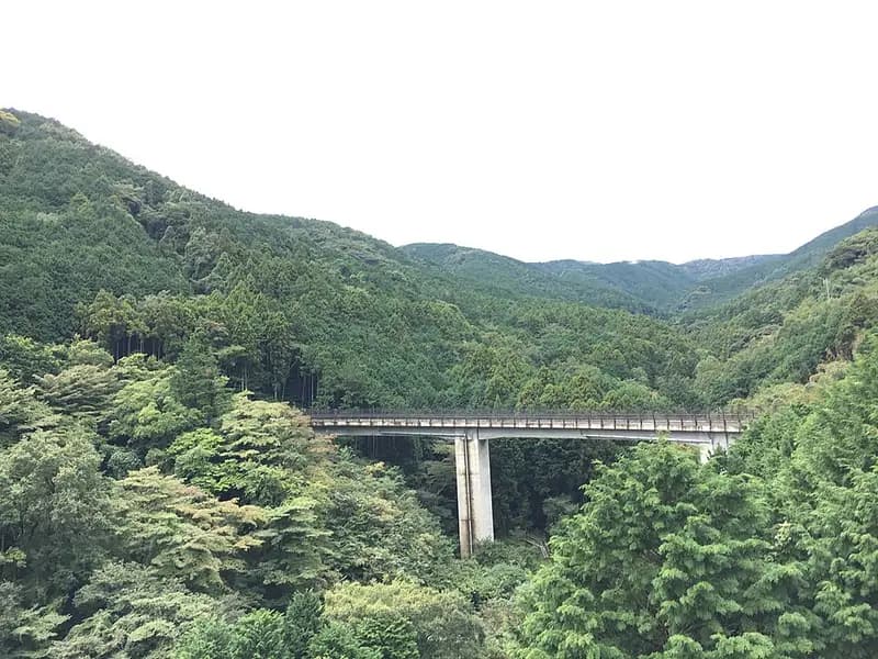 江之浦港の釣り場