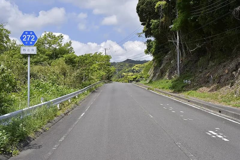 太海漁港の釣り場