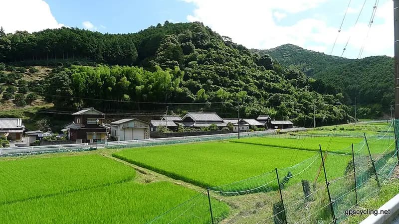 五ヶ所漁港の釣り場