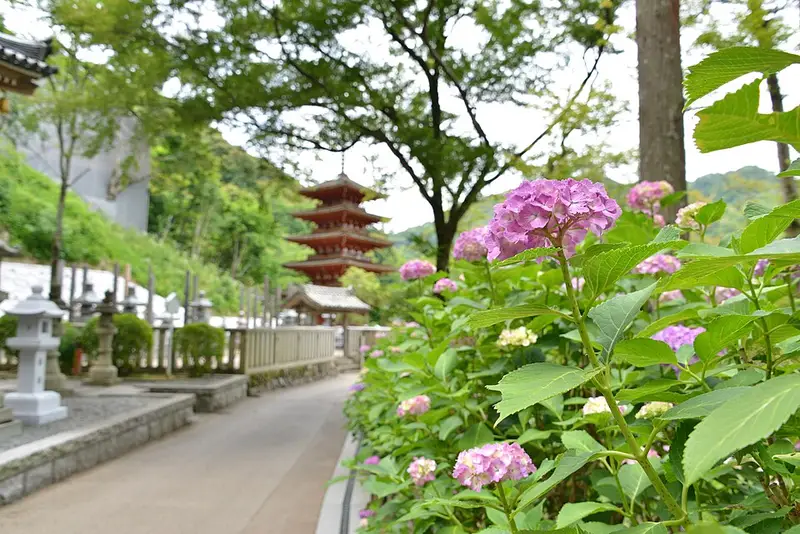 初瀬川(大和川上流)の釣り場