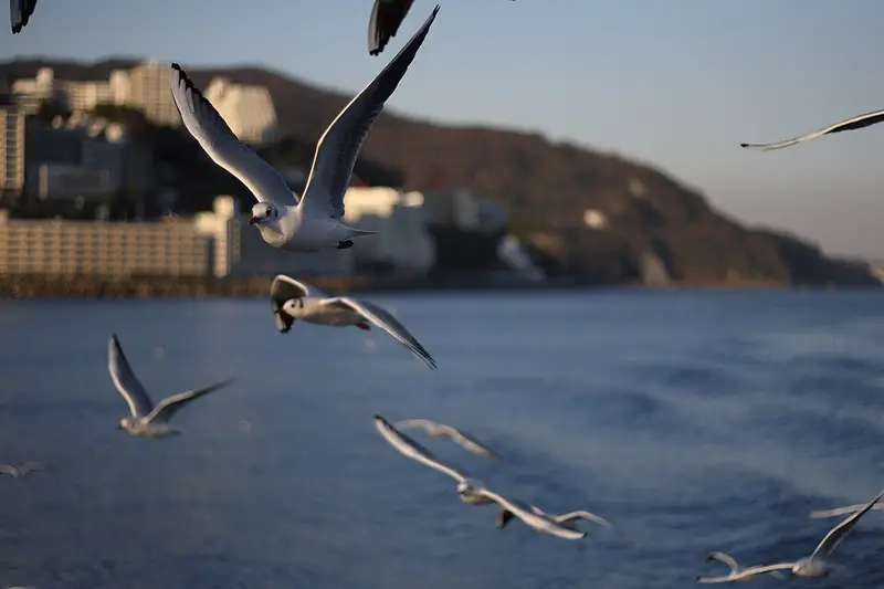 初島堤防の釣り場