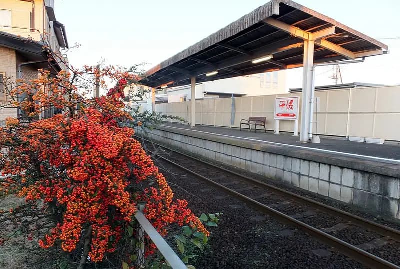 平磯海岸の釣り場
