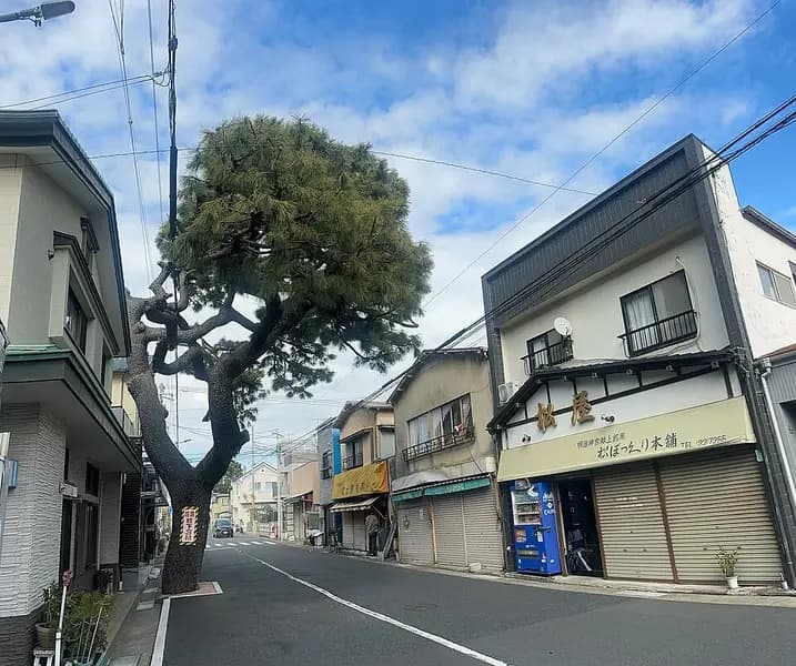 平塚新港の釣り場