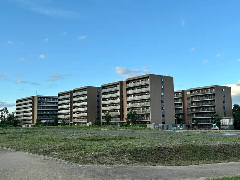 広瀬川の釣り場