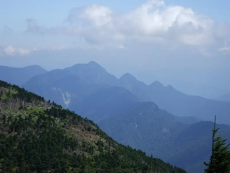池原ダム(バス釣り)の釣り場