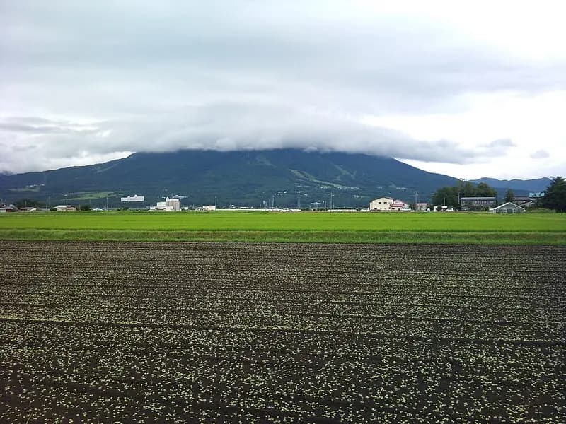 猪苗代湖(天神浜)の釣り場