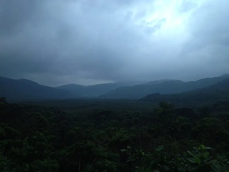 西表島大原港の釣り場
