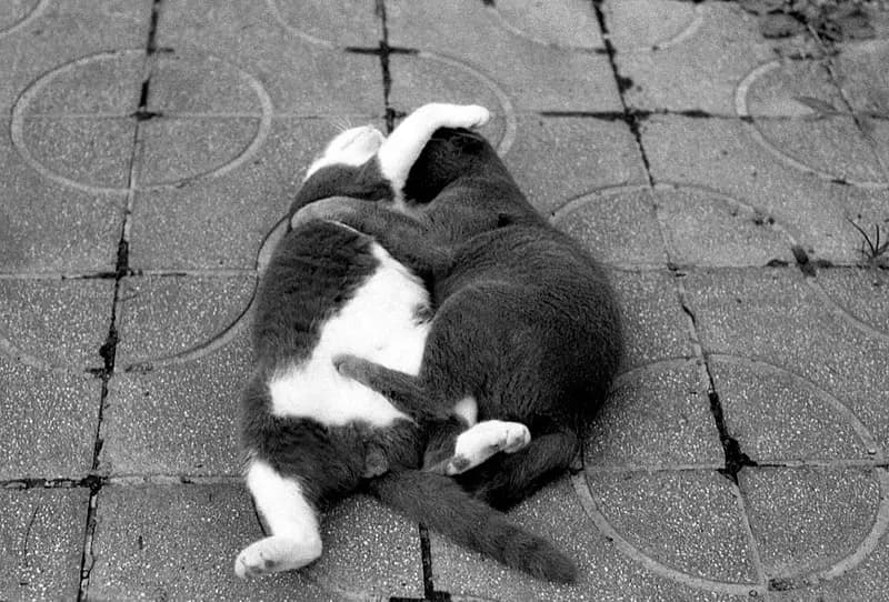 石巻漁港の釣り場