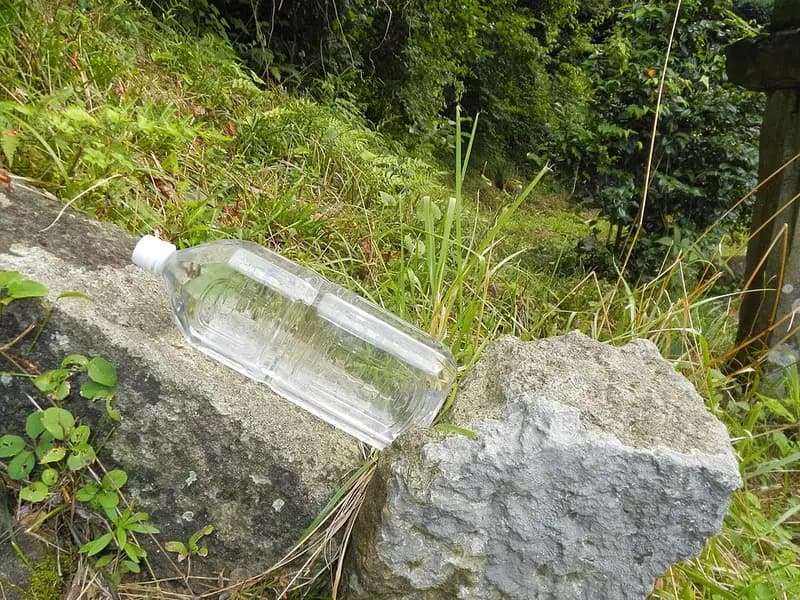 釜屋漁港(三尾)の釣り場