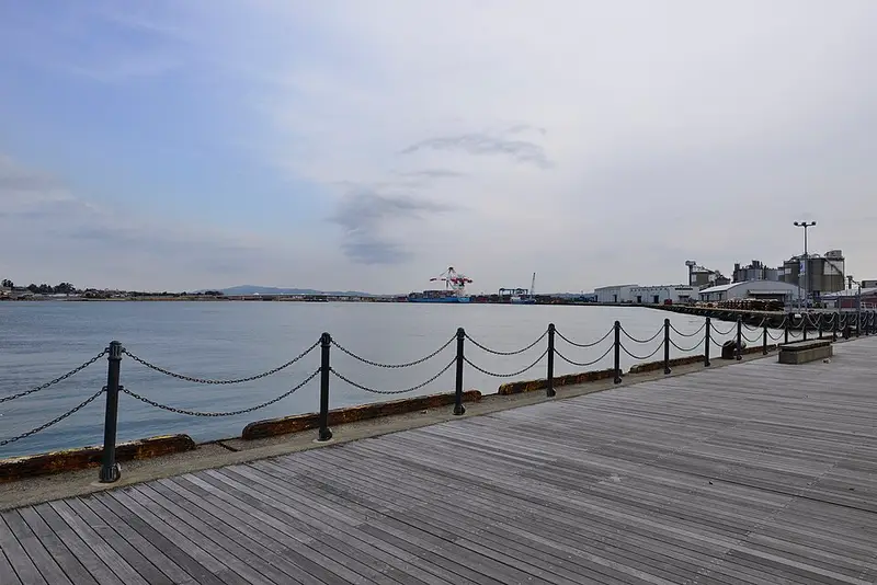 金沢港大浜釣り護岸の釣り場