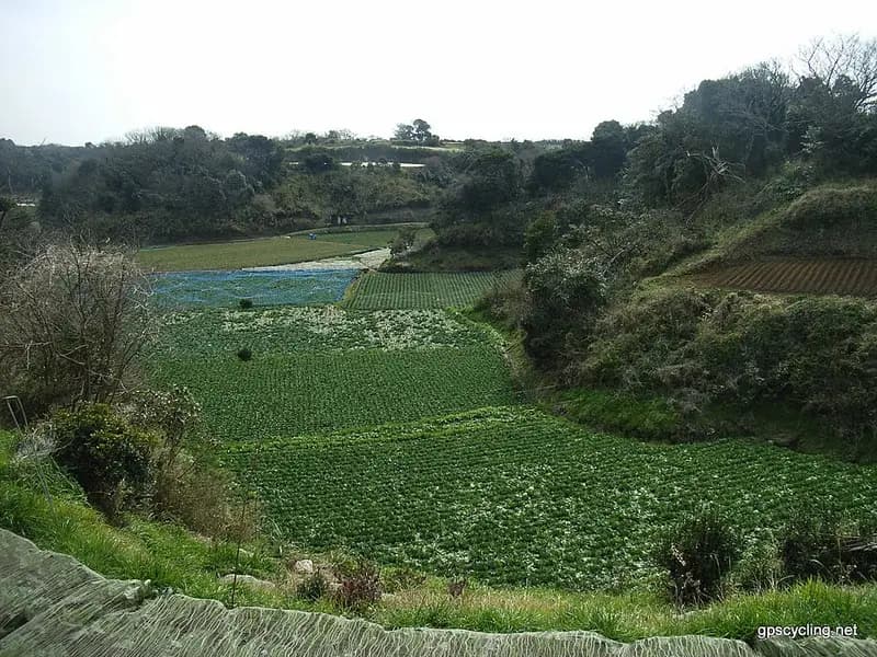 金田港の釣り場