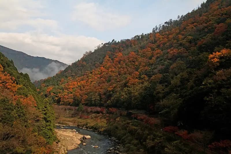 桂川(保津川)の釣り場