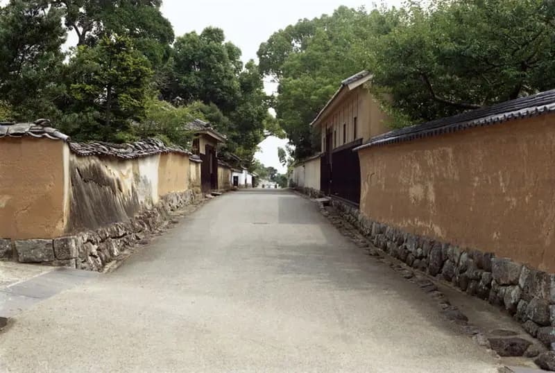 杵築市守江湾の釣り場