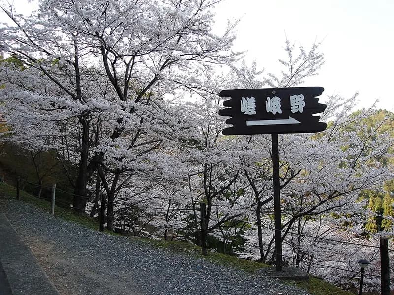 清滝川の釣り場