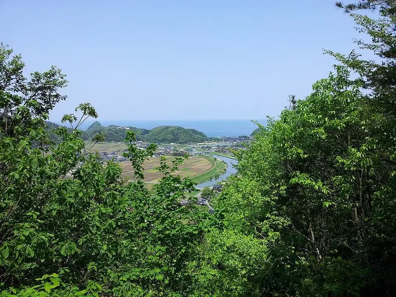 小島岸壁の釣り場