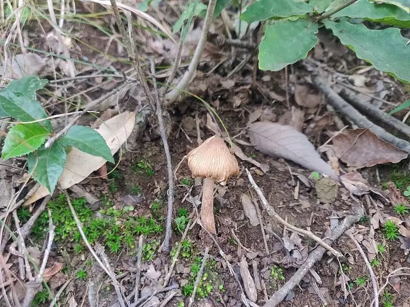 高麗川の釣り場