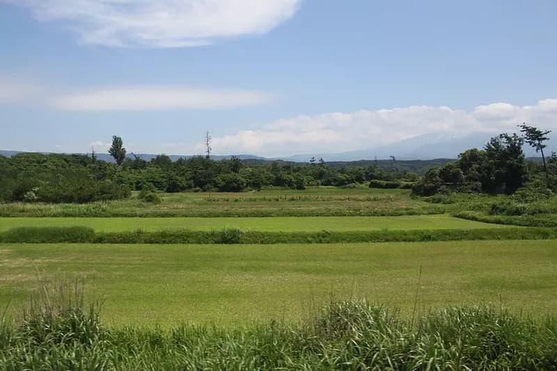 金浦漁港の釣り場