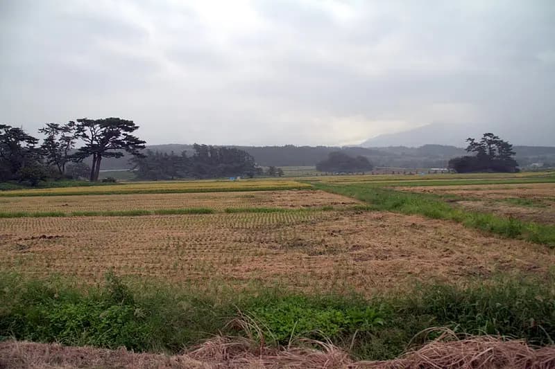 金浦港の釣り場