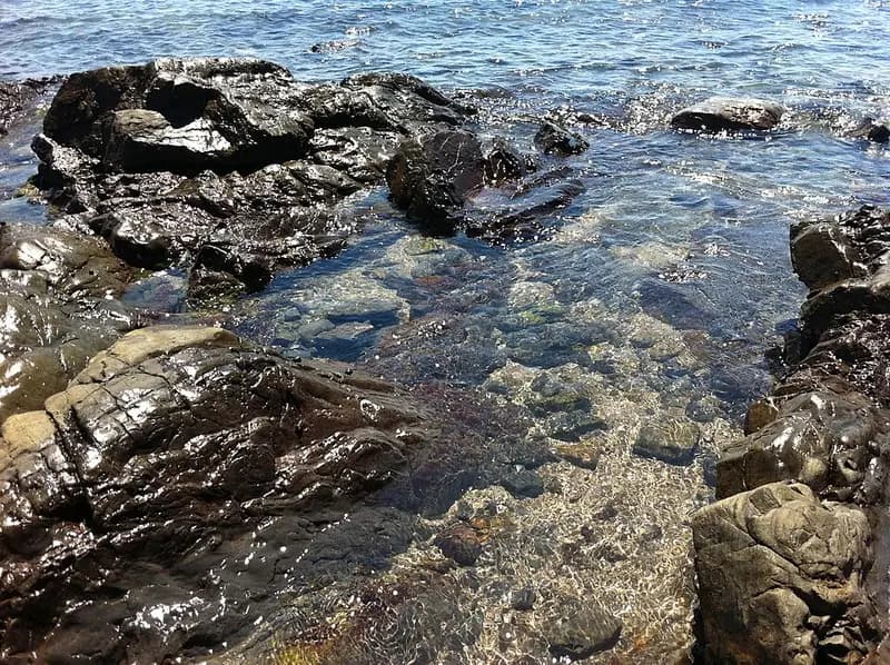 小浦漁港の釣り場