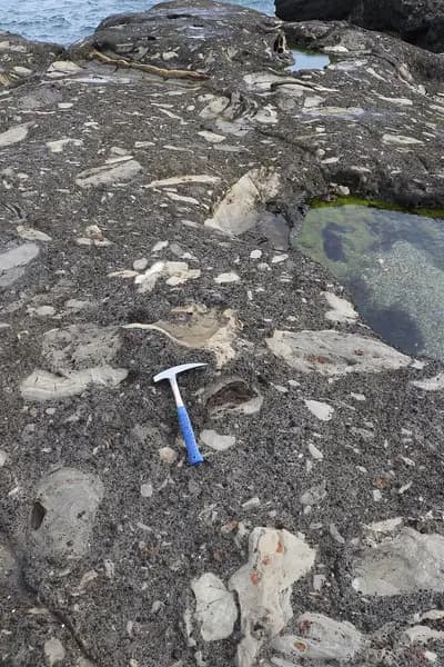 黒崎の鼻の釣り場