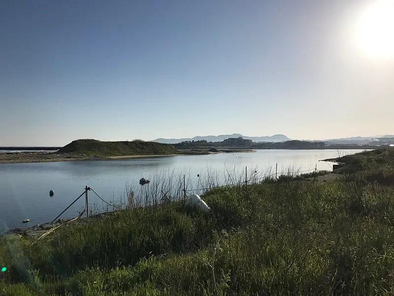益田港の釣り場